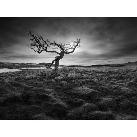 Lonesome Black Modern Wood Framed Art Print with Double Matting by Henson, Martin