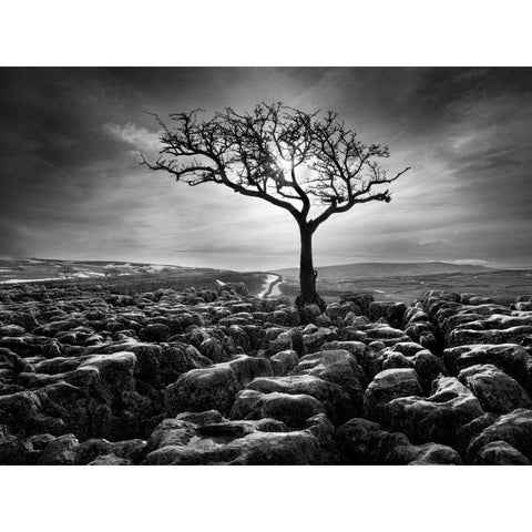 Grikes and Clints Black Modern Wood Framed Art Print by Henson, Martin