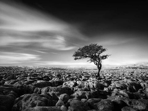 Tension White Modern Wood Framed Art Print with Double Matting by Henson, Martin