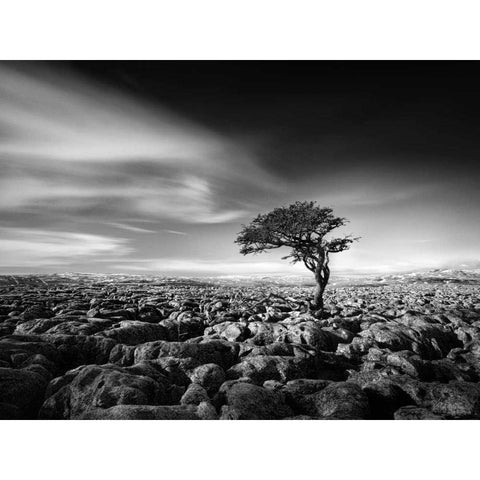 Tension Black Modern Wood Framed Art Print by Henson, Martin