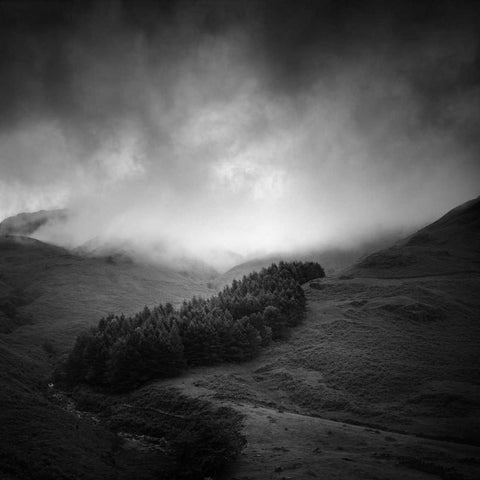 Misty Weather I White Modern Wood Framed Art Print with Double Matting by Henson, Martin