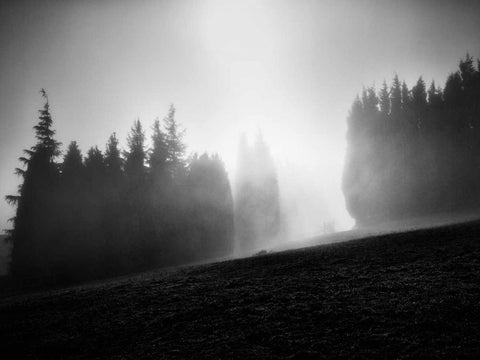 Misty Weather III White Modern Wood Framed Art Print with Double Matting by Henson, Martin