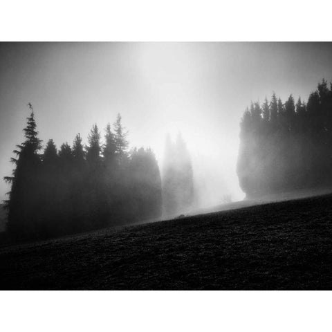 Misty Weather III White Modern Wood Framed Art Print by Henson, Martin