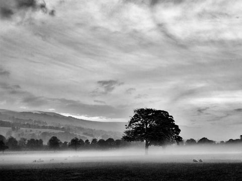 Misty Weather IV White Modern Wood Framed Art Print with Double Matting by Henson, Martin