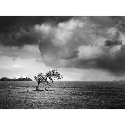 Misty Weather V Black Modern Wood Framed Art Print with Double Matting by Henson, Martin