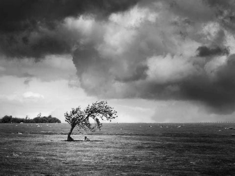 Misty Weather V Black Ornate Wood Framed Art Print with Double Matting by Henson, Martin