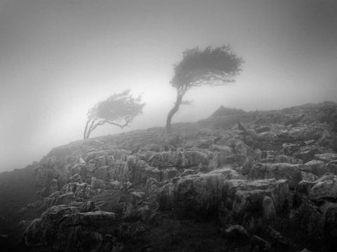 Misty Weather VI White Modern Wood Framed Art Print with Double Matting by Henson, Martin