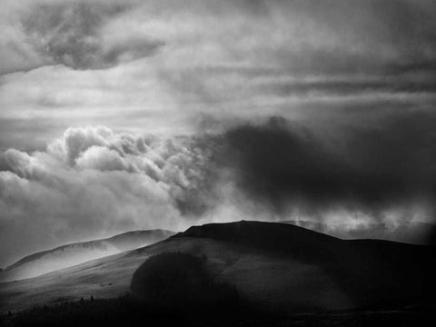 Misty Weather VIII White Modern Wood Framed Art Print with Double Matting by Henson, Martin