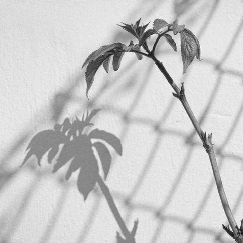 Around Town III Black Ornate Wood Framed Art Print with Double Matting by Henson, Martin