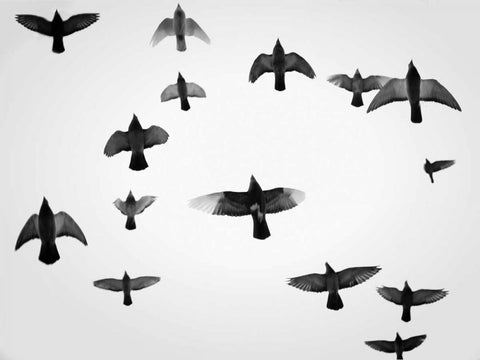 In the Skies I White Modern Wood Framed Art Print with Double Matting by Henson, Martin