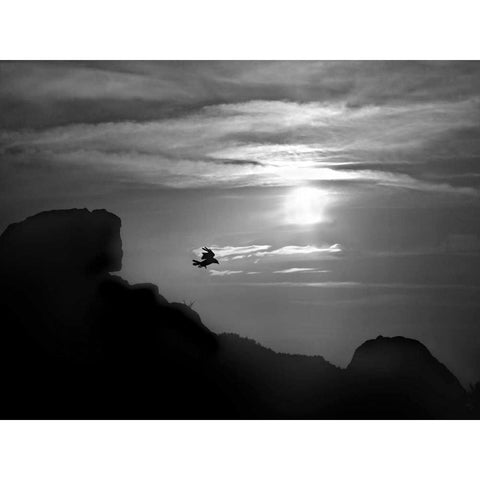 In the Skies II Black Modern Wood Framed Art Print with Double Matting by Henson, Martin