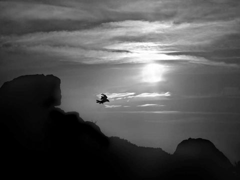 In the Skies II White Modern Wood Framed Art Print with Double Matting by Henson, Martin