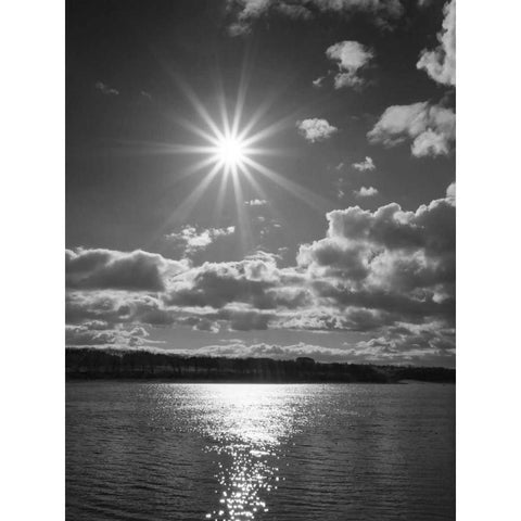 Sun Burst Black Modern Wood Framed Art Print with Double Matting by Henson, Martin