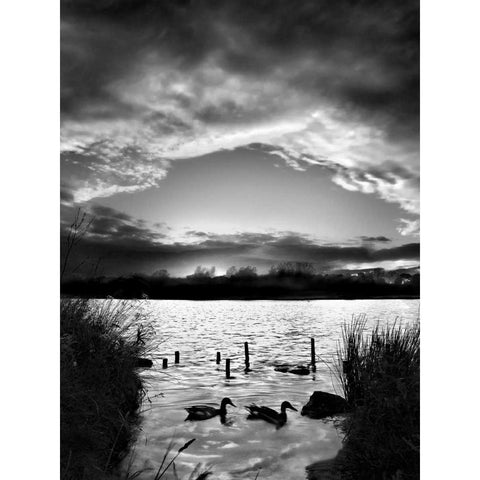 Swimming Pool Black Modern Wood Framed Art Print with Double Matting by Henson, Martin