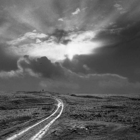 Fly a Kite White Modern Wood Framed Art Print by Henson, Martin