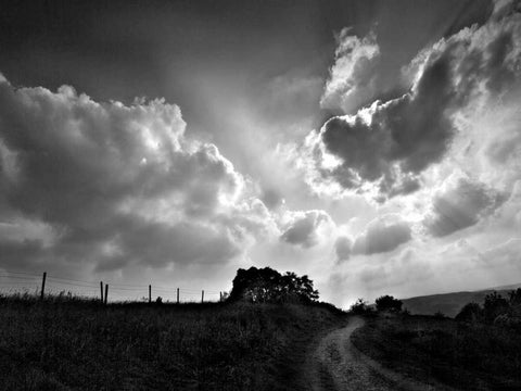 Lonely Path I White Modern Wood Framed Art Print with Double Matting by Henson, Martin