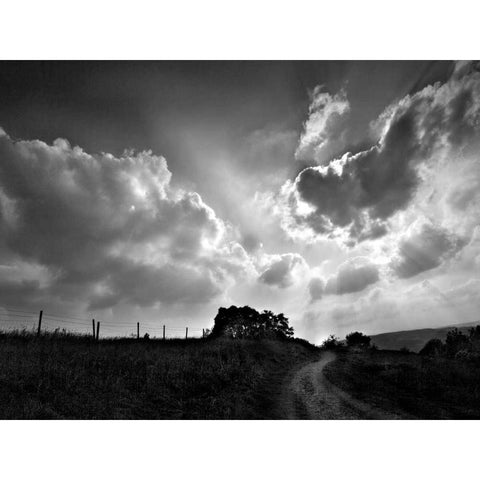 Lonely Path I Black Modern Wood Framed Art Print by Henson, Martin