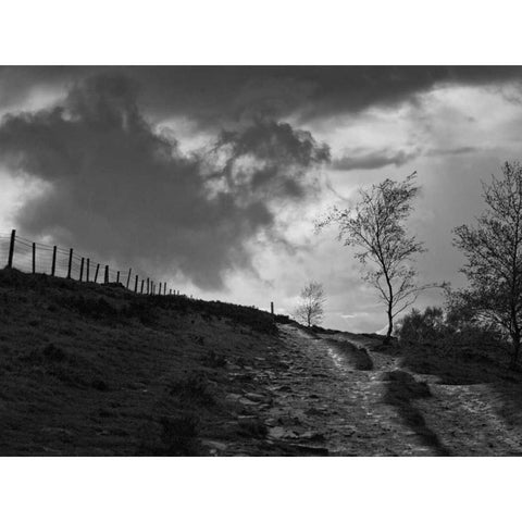 Lonely Path II Black Modern Wood Framed Art Print with Double Matting by Henson, Martin