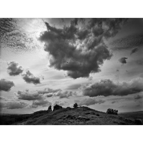 Hill Top Landscape Black Modern Wood Framed Art Print with Double Matting by Henson, Martin
