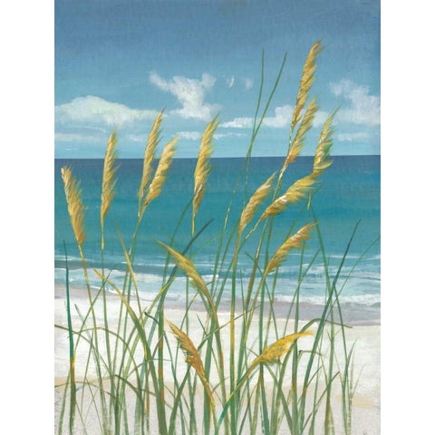 Summer Breeze II White Modern Wood Framed Art Print by OToole, Tim