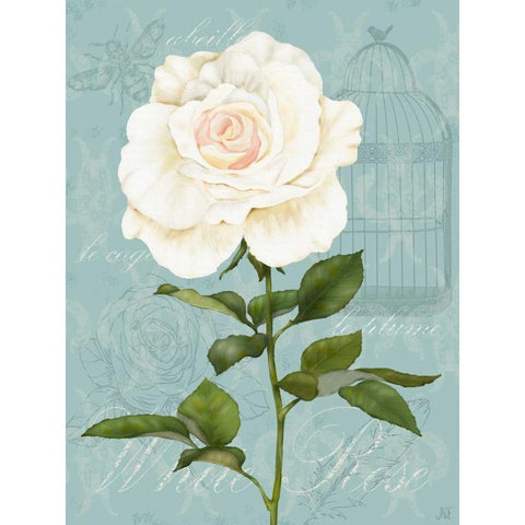 Cream Rose I Black Modern Wood Framed Art Print with Double Matting by Reynolds, Jade