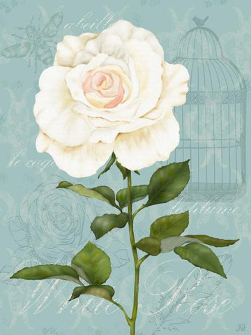 Cream Rose I White Modern Wood Framed Art Print with Double Matting by Reynolds, Jade