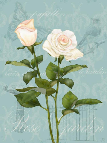 Cream Rose II White Modern Wood Framed Art Print with Double Matting by Reynolds, Jade