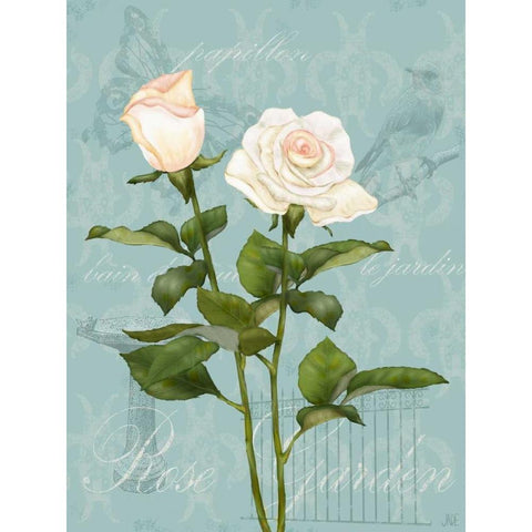 Cream Rose II Black Modern Wood Framed Art Print with Double Matting by Reynolds, Jade