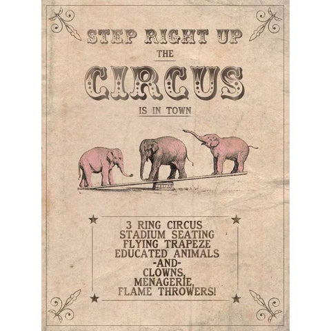 Vintage Circus I Black Modern Wood Framed Art Print with Double Matting by Popp, Grace