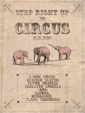 Vintage Circus I White Modern Wood Framed Art Print with Double Matting by Popp, Grace