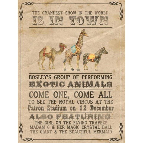 Vintage Circus III White Modern Wood Framed Art Print by Popp, Grace