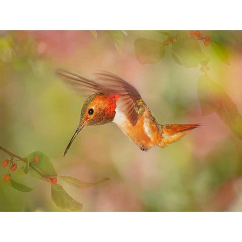 The Flower Dance III Black Modern Wood Framed Art Print with Double Matting by Robertson, Leda