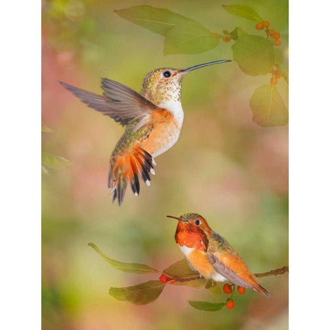 The Flower Dance XVI Gold Ornate Wood Framed Art Print with Double Matting by Robertson, Leda