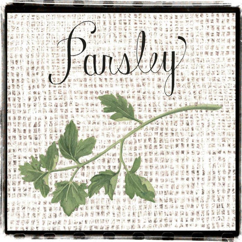 Burlap Herbs IV White Modern Wood Framed Art Print with Double Matting by Popp, Grace