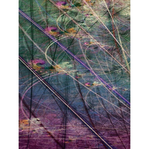 Wetlands Vector I Black Modern Wood Framed Art Print with Double Matting by Burghardt, James