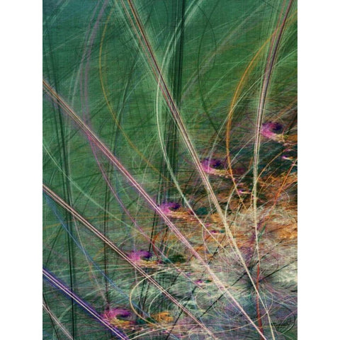 Wetland Vector II Black Modern Wood Framed Art Print with Double Matting by Burghardt, James