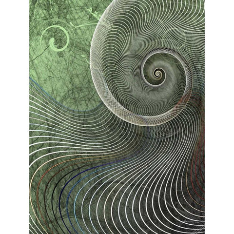 Surround II Black Modern Wood Framed Art Print with Double Matting by Burghardt, James