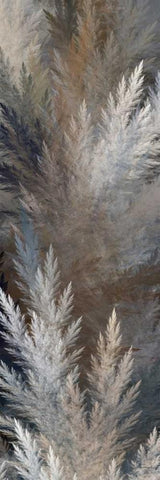 2-Up Pampas Panels I Black Ornate Wood Framed Art Print with Double Matting by Burghardt, James