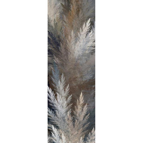 2-Up Pampas Panels I Black Modern Wood Framed Art Print by Burghardt, James