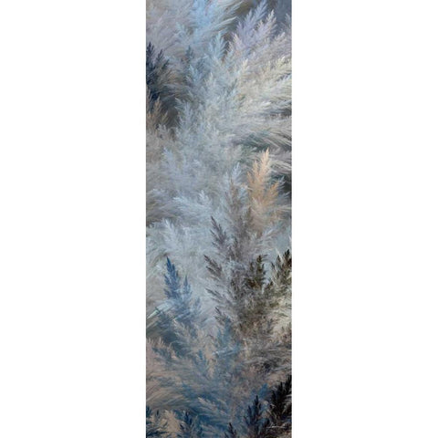 2-Up Pampas Panels II Black Modern Wood Framed Art Print by Burghardt, James