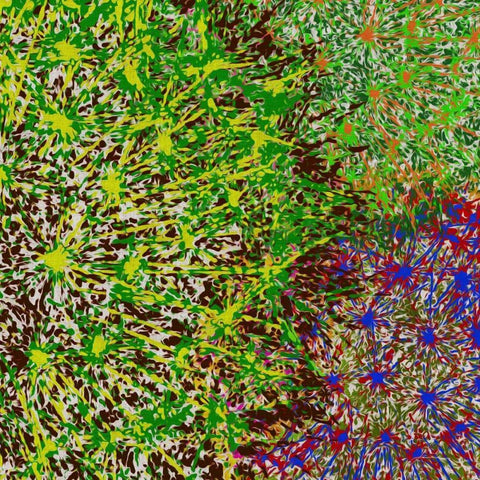 Profusion II White Modern Wood Framed Art Print with Double Matting by Burghardt, James