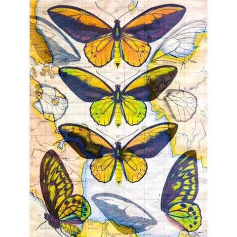 Butterfly Map I Black Modern Wood Framed Art Print by Butler, John