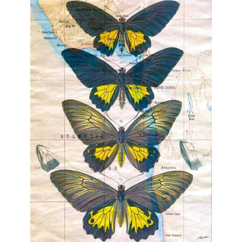 Butterfly Map II White Modern Wood Framed Art Print by Butler, John