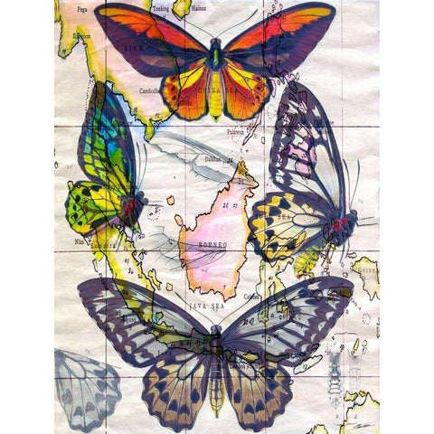 Butterfly Map IV Black Modern Wood Framed Art Print with Double Matting by Butler, John