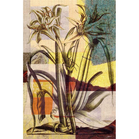 Lily Mix I White Modern Wood Framed Art Print by Butler, John
