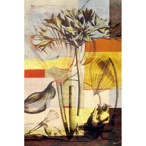 Lily Mix II White Modern Wood Framed Art Print by Butler, John