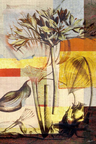 Lily Mix II White Modern Wood Framed Art Print with Double Matting by Butler, John