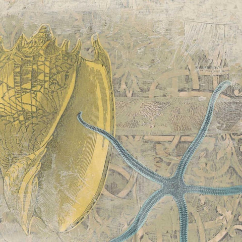 Coastal Cameo VII White Modern Wood Framed Art Print with Double Matting by Vess, June Erica