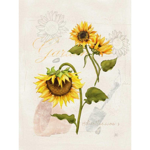 Romantic Sunflower I Black Modern Wood Framed Art Print by Reynolds, Jade