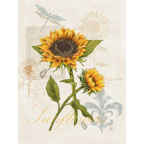 Romantic Sunflower II Black Modern Wood Framed Art Print by Reynolds, Jade